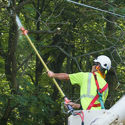 consumers energy worker 
